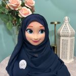 Chiffon Scarf